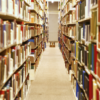 Documentation & conservation