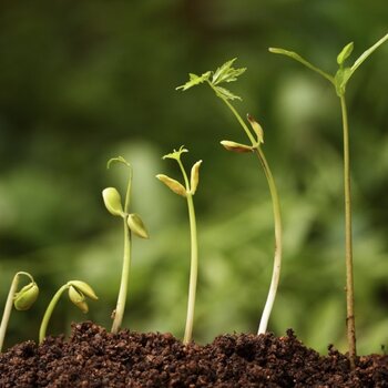 Sciences de la terre