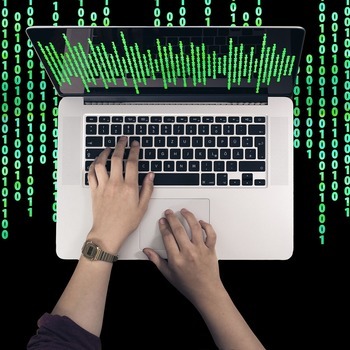 Quels profils sont les plus prisés dans le numérique ?